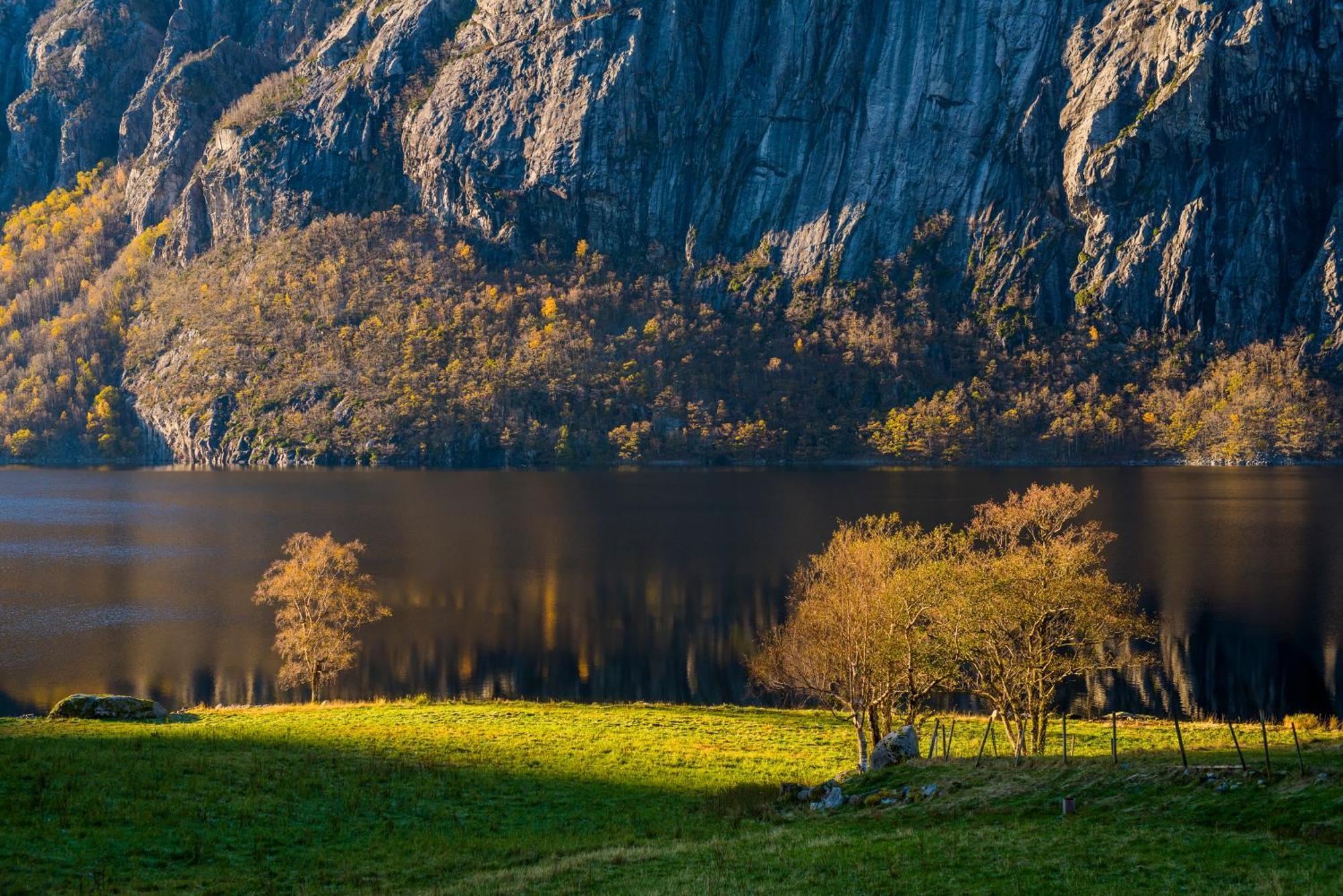 Hytte Ved Preikestolen Forsand Extérieur photo