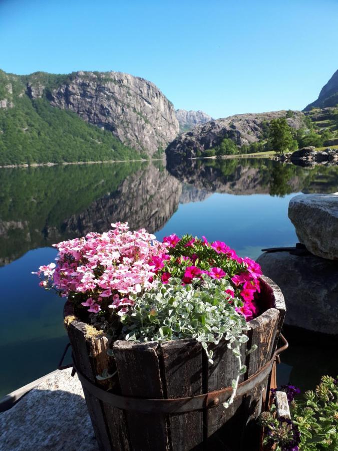 Hytte Ved Preikestolen Forsand Extérieur photo